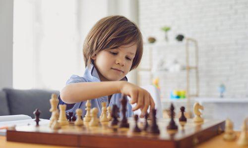 Akıl Zeka Oyunları Ve Satranç Eğitmenliği Sertifikası nereden alınır