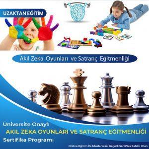Akıl Zeka Oyunları Eğitimi ve Satranç Eğitmenlik Sertifikası