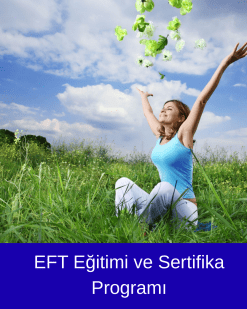 EFT Eğitimi ve Sertifika Programı
