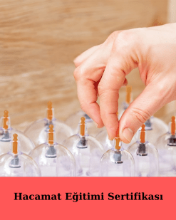 Hacamat Eğitimi Sertifikası