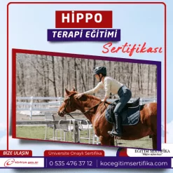 Hippo Terapi Egitimi Sertifikasi