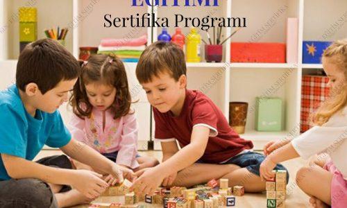 montessori eğitimi sertifika programı
