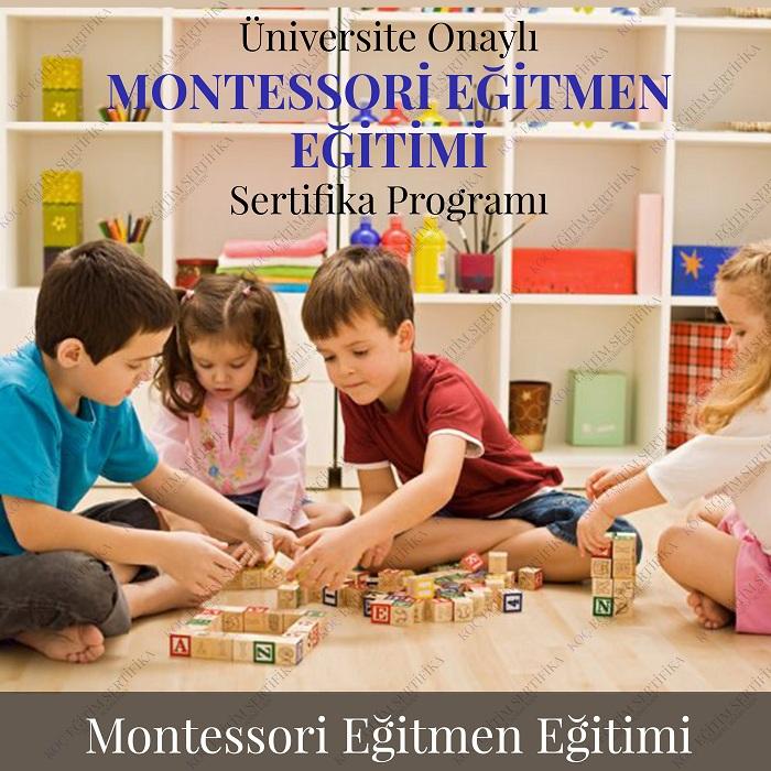 montessori eğitimi sertifika programı