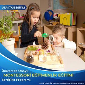 Montessori Eğitmenlik Sertifikası