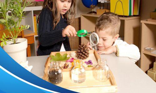 Montessori Eğitmenlik Sertifikası