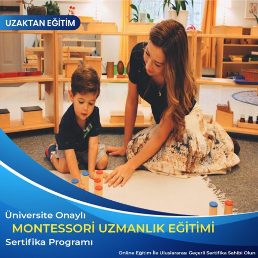 Montessori Eğitmenliği Uzmanlık Sertifikası