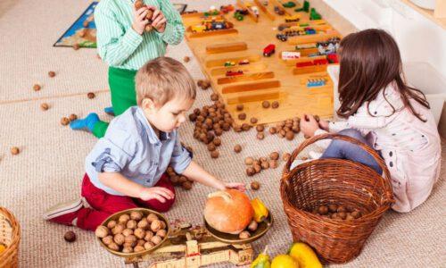 Montessori Eğitmen eğitimi nedir