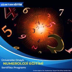 Numeroloji Eğitimi