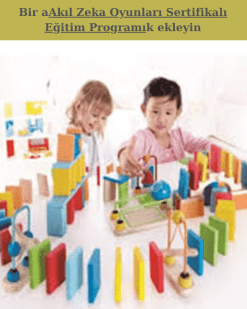 Akıl Zeka Oyunları Sertifikalı Eğitim Programı