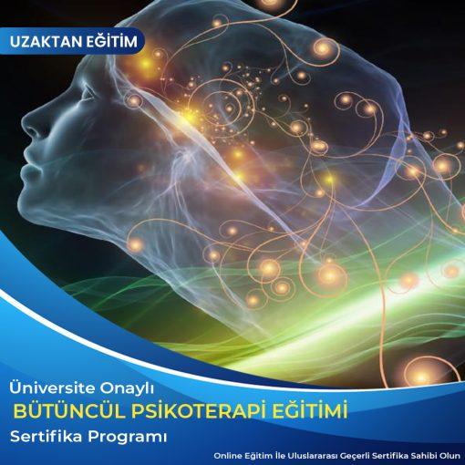 Bütüncül psikoterapi eğitimi
