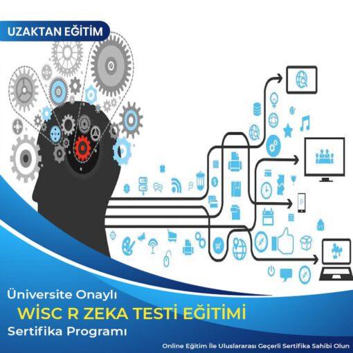 WISC R Zeka Testi Uygulayici Egitimi 510x510 1
