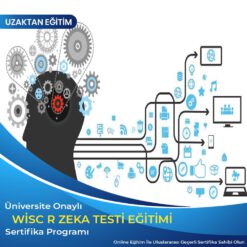 WISC-R Zeka Testi Uygulayıcı Sertifikası