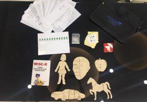 Wisc- R zeka testi uygulayıcı eğitimi