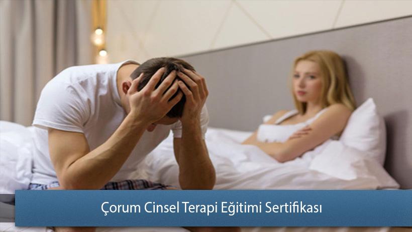 Çorum Cinsel Terapi Eğitimi Sertifikası