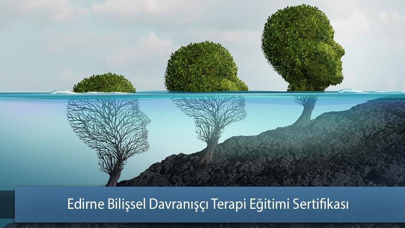 Edirne Bilişsel Davranışçı Terapi Eğitimi Sertifikası