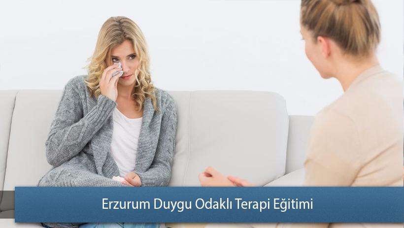 Erzurum Duygu Odaklı Terapi Eğitimi