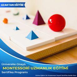montessori eğitimi sertifikası