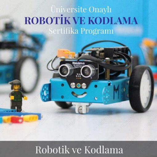 Robotik ve Kodlama Formatörlük
