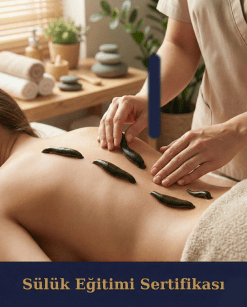 Sülük Eğitimi Sertifikası