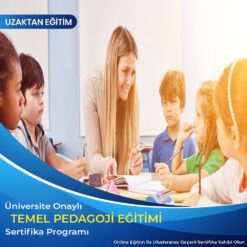 Temel Pedagoji eğitimi sertifikası