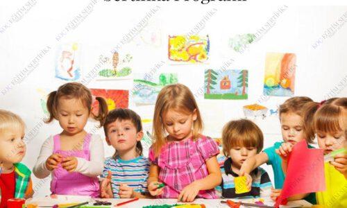 çocuk gelişimi eğitimi sertifikası